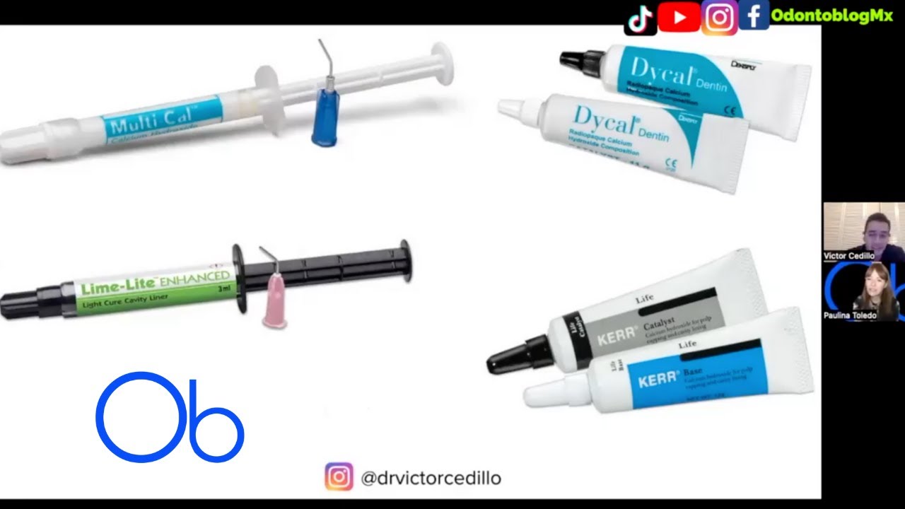 LINERS: qué son, función, marcas comerciales y colocación paso a paso