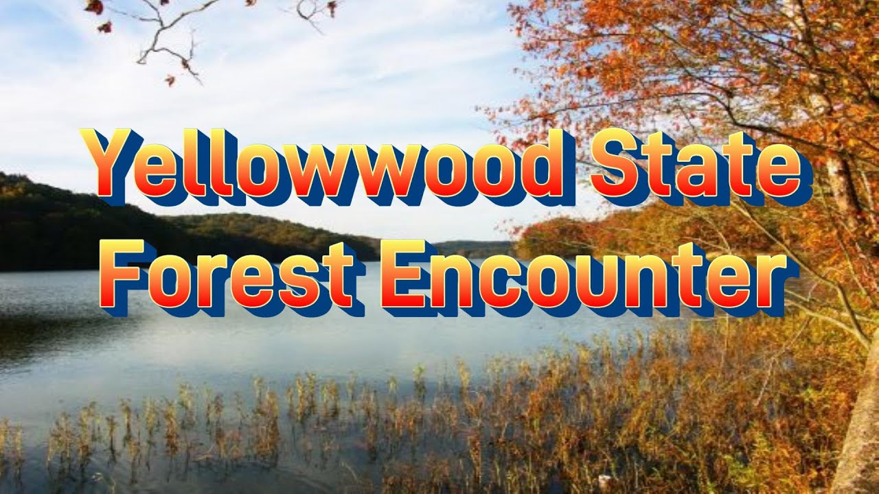 Yellowwood State Park Encounter | Indiana