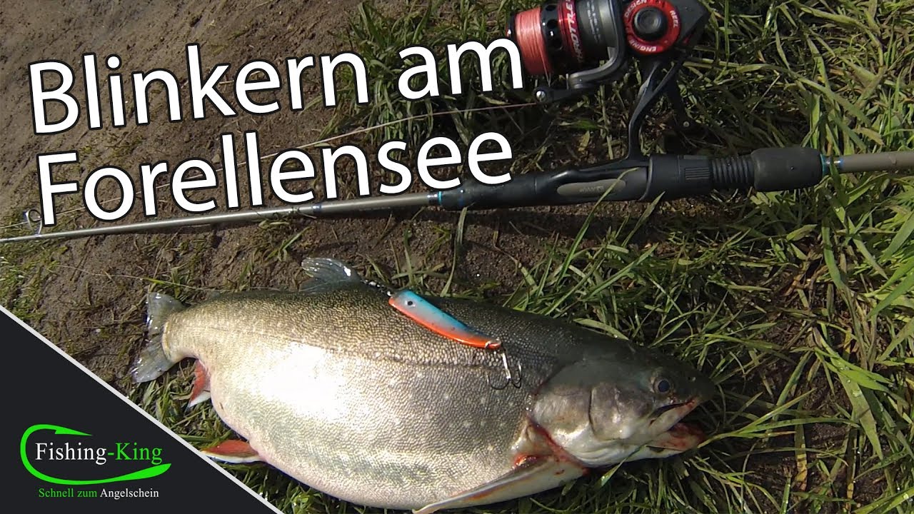 Spinnangeln: Mit Blinkern am Forellenteich | Fishing-King.de