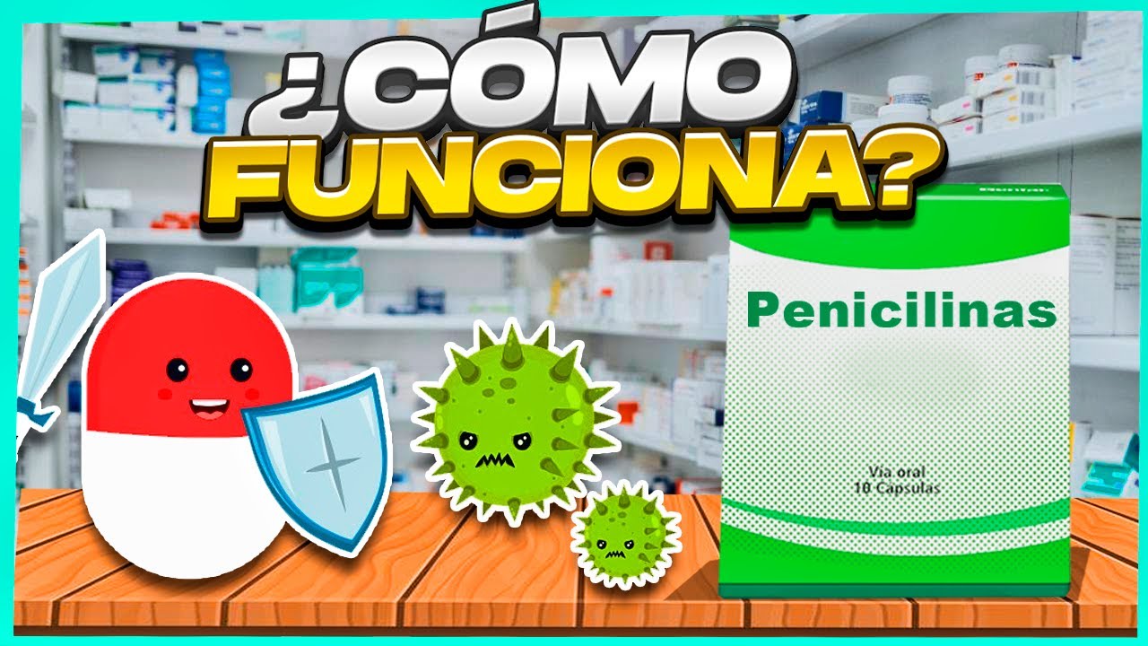 💊💊&iquest;C&oacute;mo funciona la penicilina?| 🧫🧫&iquest;Cu&aacute;ntas penicilinas existen?