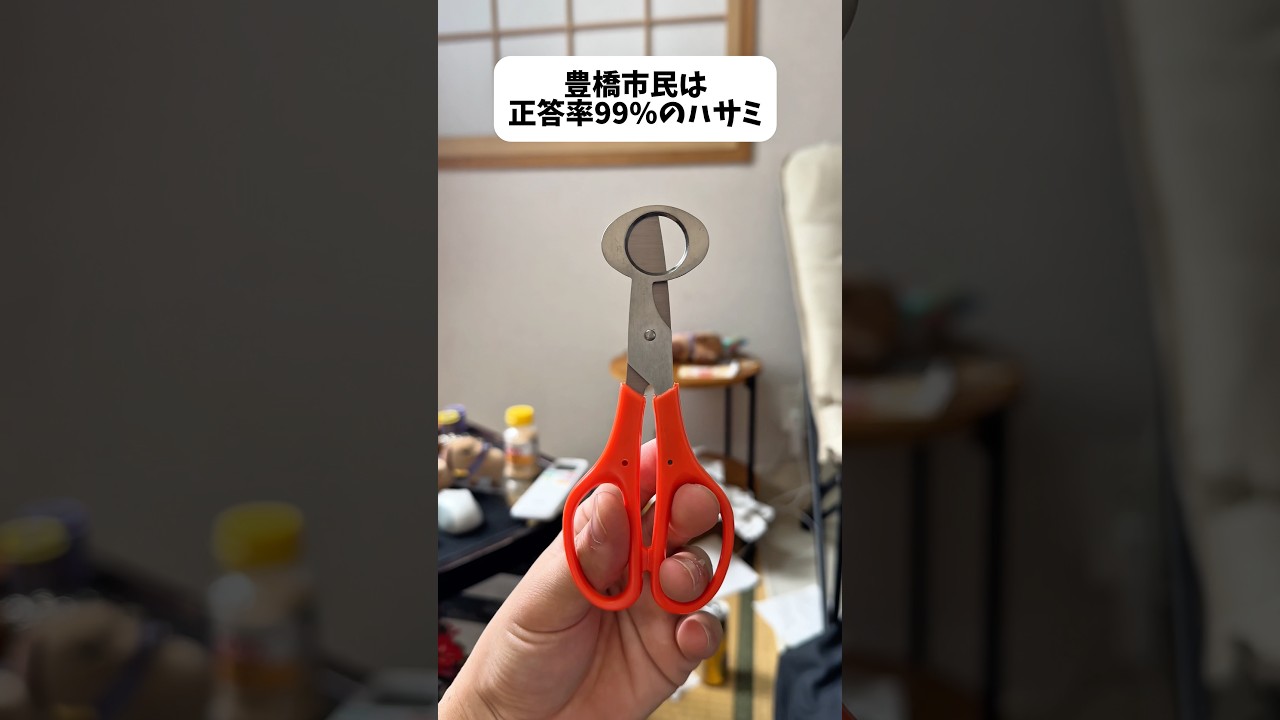 豊橋市民は正答率99%のハサミの使い方分かる人居る？