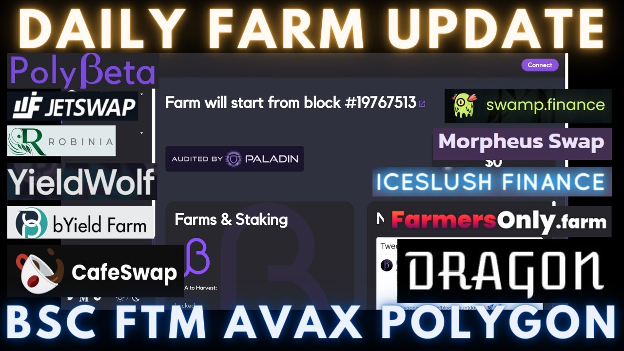 Daily Degen Farm Update | BSC - FTM - AVAX - POLYGON | Quick Recap