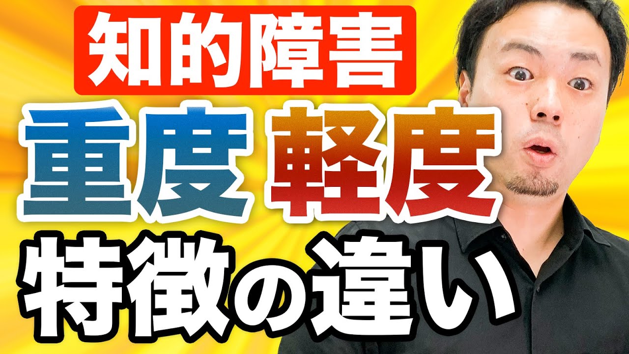 【知的障害】重度と軽度の特徴の違いについて解説【大人の知的障害者の働き方】