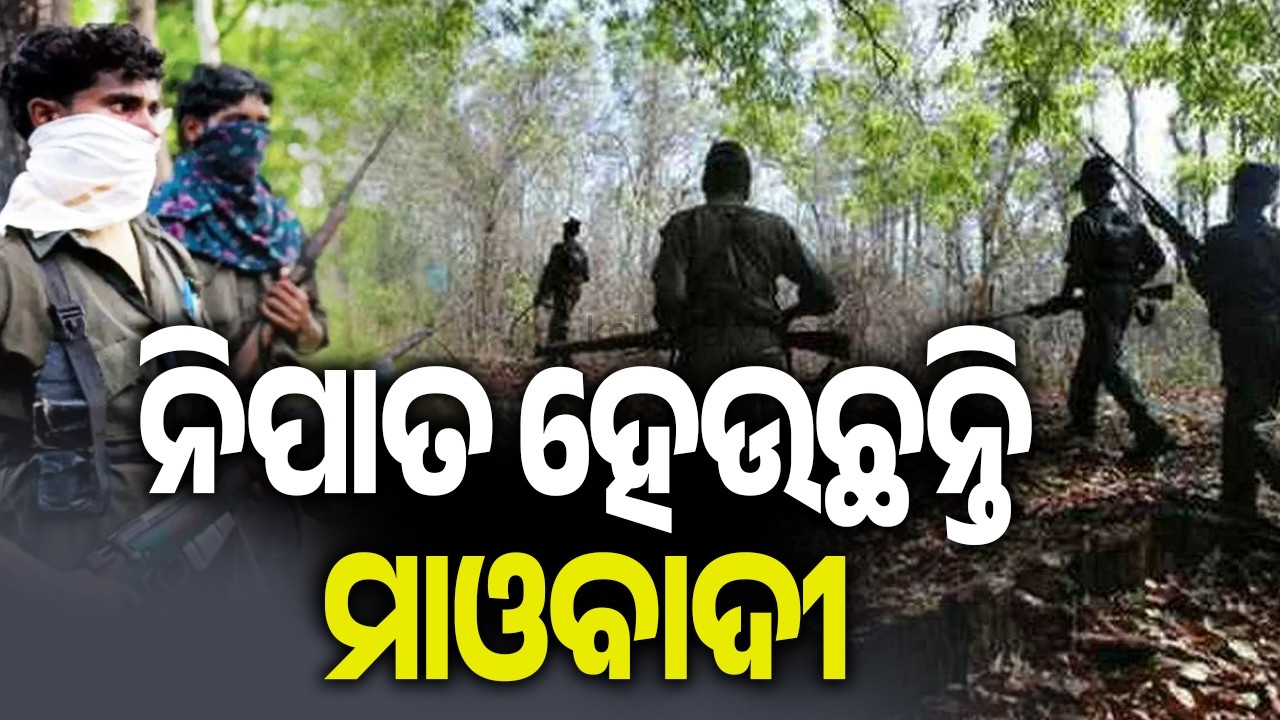 ନିପାତ ହେଉଛନ୍ତି ମାଓବାଦୀ | Kalinga TV