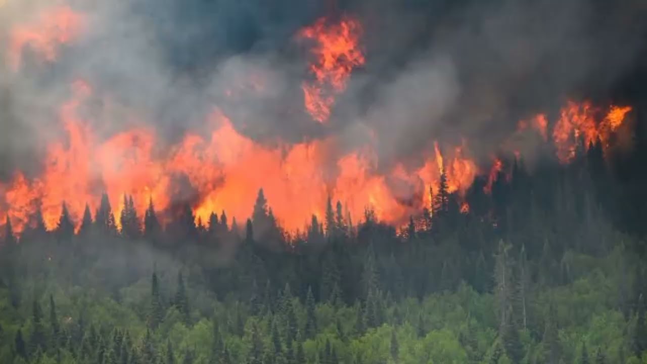 Heat Waves in USA 2023: A Climate Crisis.#usanews #climatechange #heatwaves