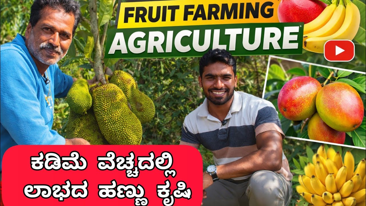ಕಡಿಮೆ ವೆಚ್ಚದಲ್ಲಿ ಲಾಭದ ಹಣ್ಣು ಕೃಷಿ | Low-cost, profit fruit farming. Part-2