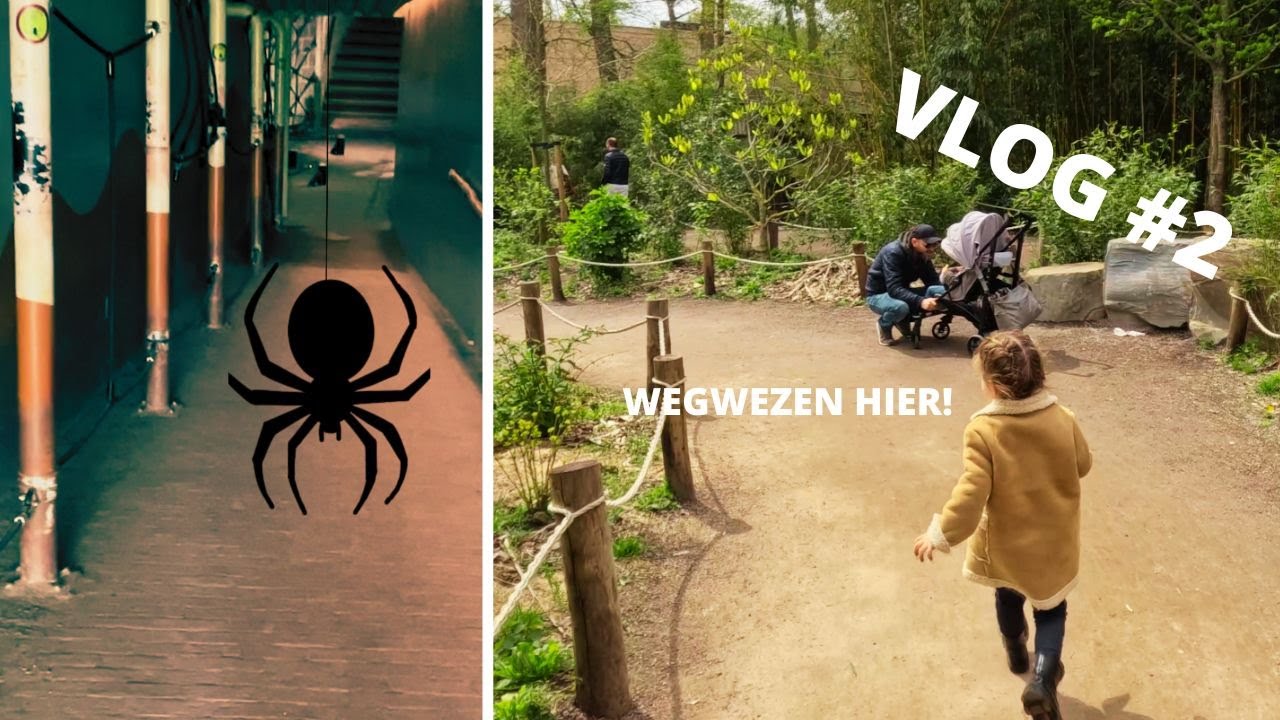 DIERENTUIN ZOO PLANCKENDAEL, WAS DIT TE ENG VOOR DAVINA? #2