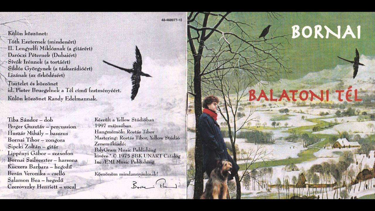 Bornai Tibor - Balatoni tél 4