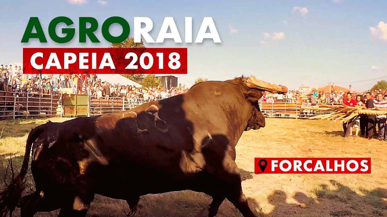 Capeia AgroRaia 2018