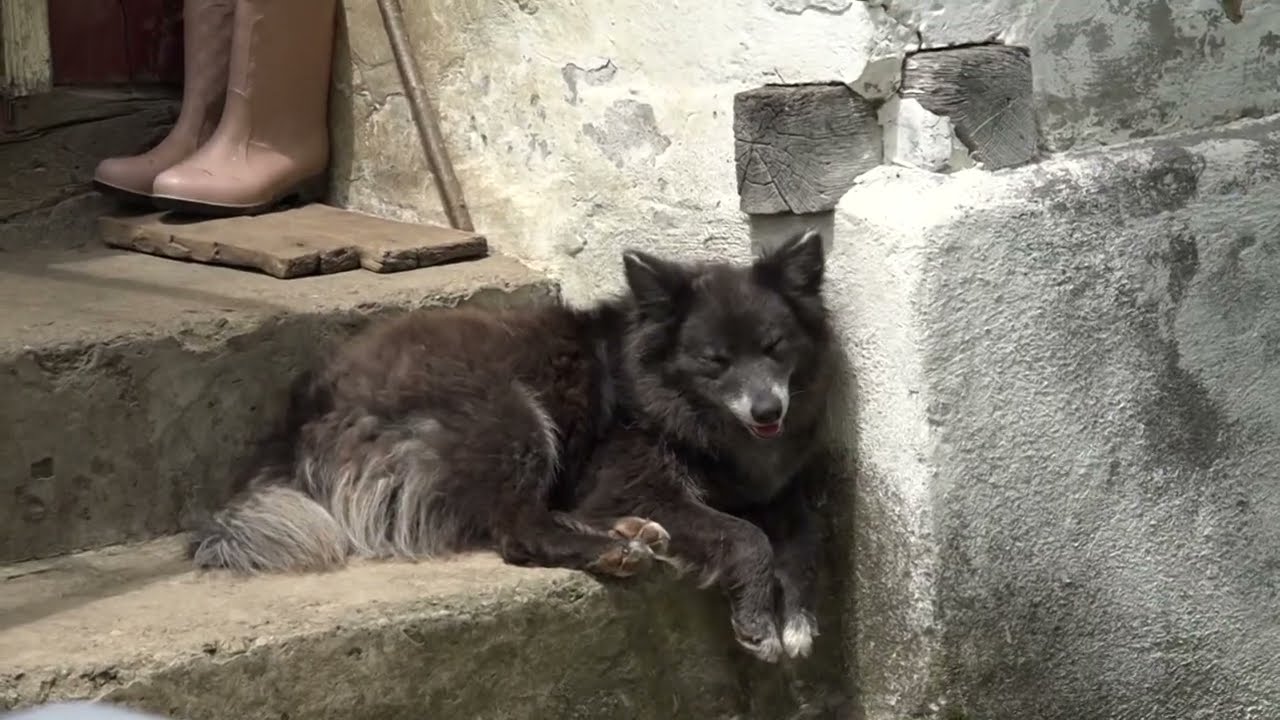 Konkurs KUĆE na selu za mlade - šta treba da znate