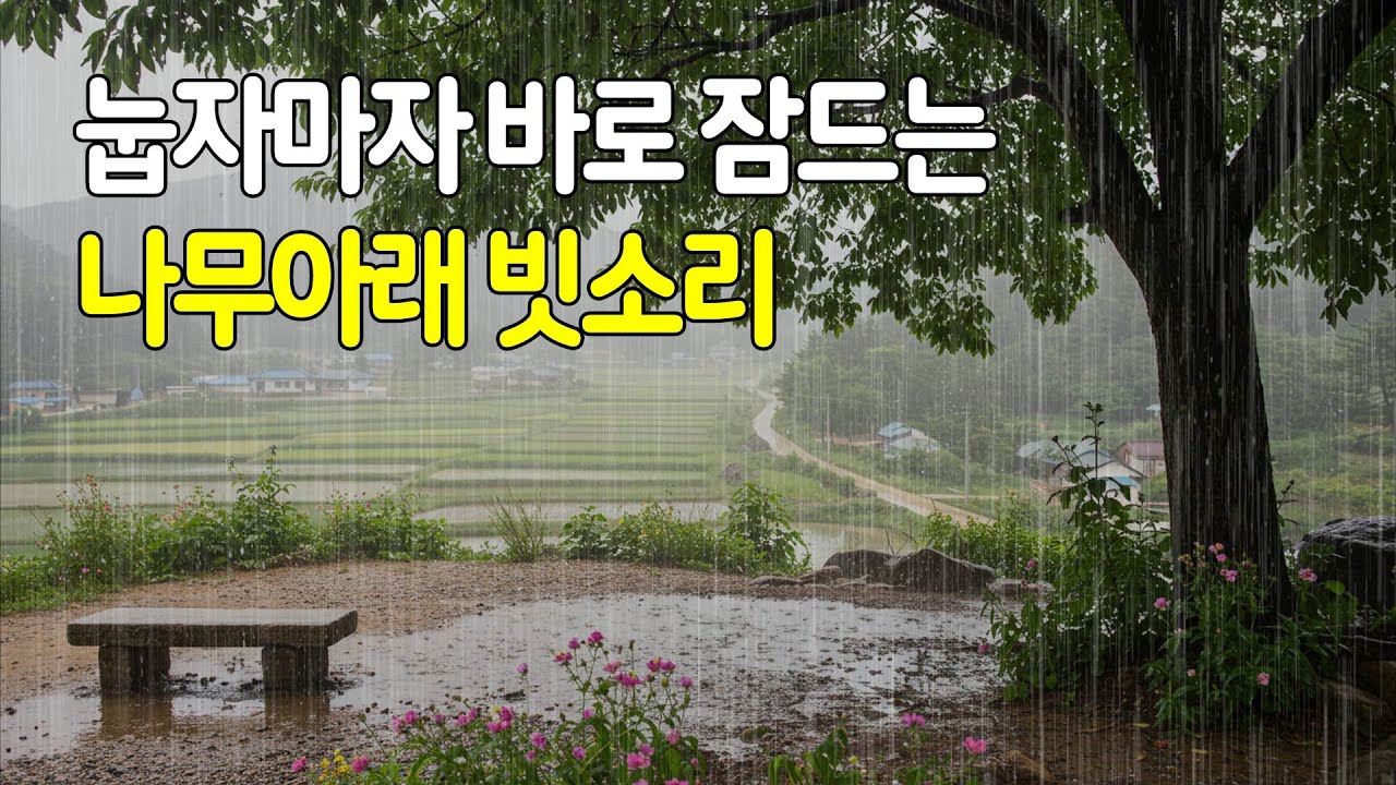 눕자마자 바로 잠드는 나무 아래 빗소리｜지친 마음을 위로하는 수면유도 백색소음