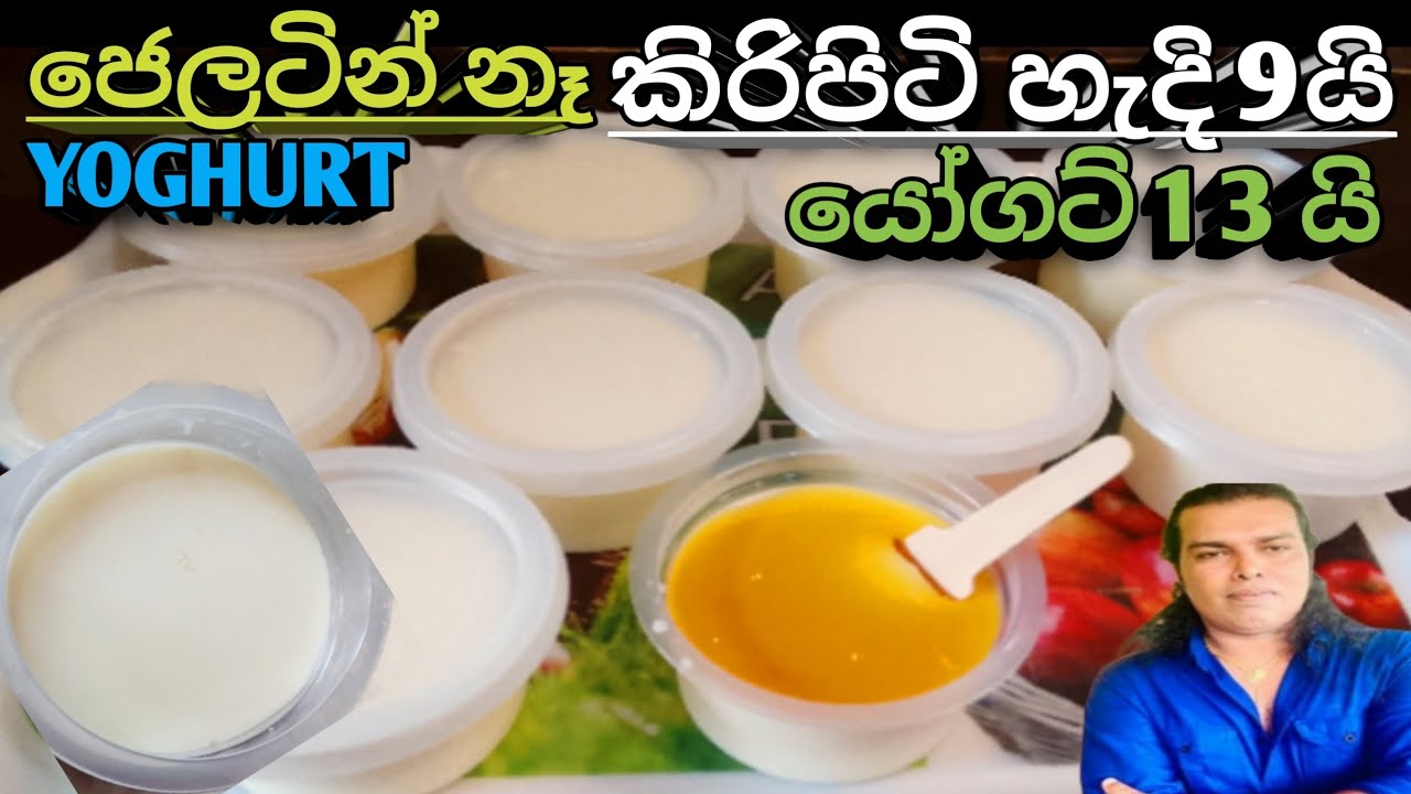 යෝගට් ගෙදර හදමු ,Home Made Yogurt ,Yogat Hadana Hati Sinhala ,@RuwaaWithRecipes 