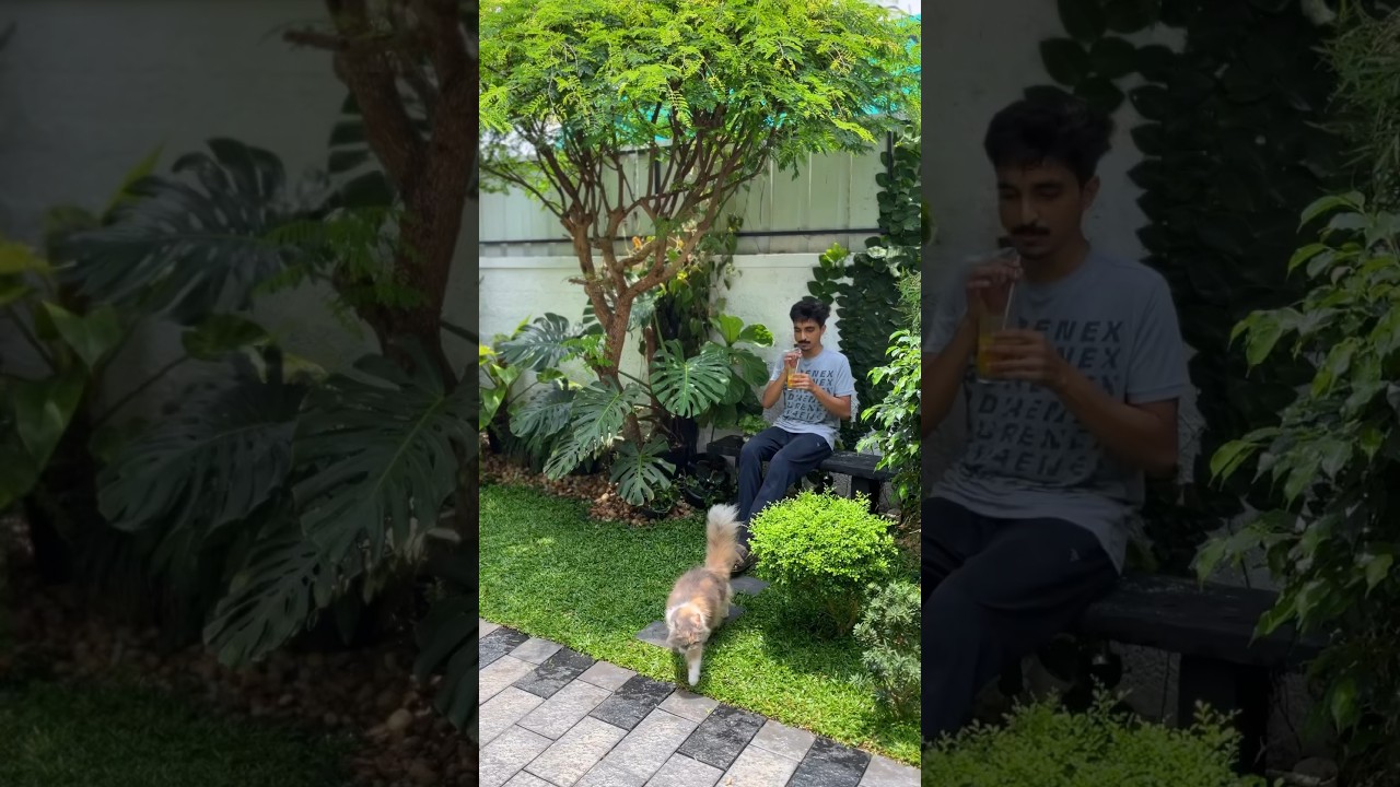 My happy space - mini garden arrangements #ytshorts #garden