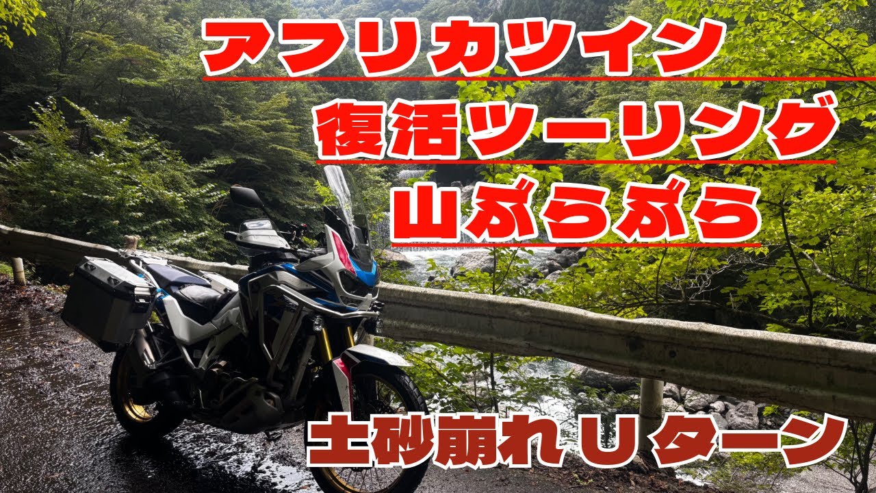 嬉しくて走り出してしまいました。涼を求め、山をぶらぶらしています。