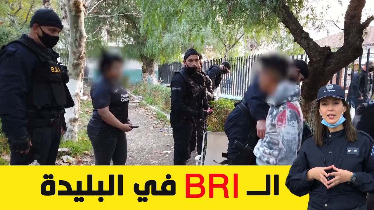عصابات الأحياء ... في البليدة