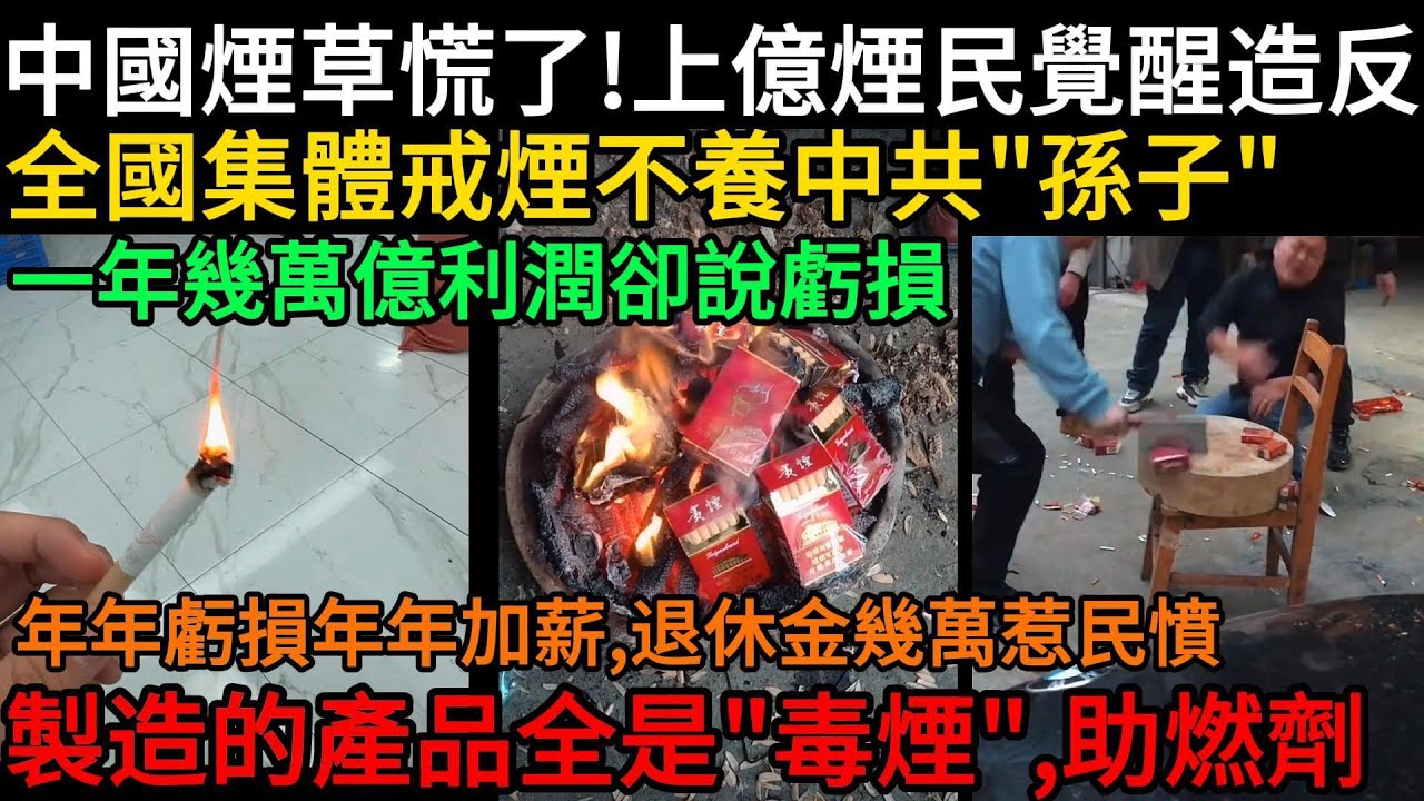 中國煙草局慌了！上億煙民覺醒造反！集體戒煙不養中共孫子！一年幾萬億利潤卻說虧損，年年虧損年年加薪，退休金幾萬惹民憤！中國煙草局被爆全是助燃劑、紙屑#中国