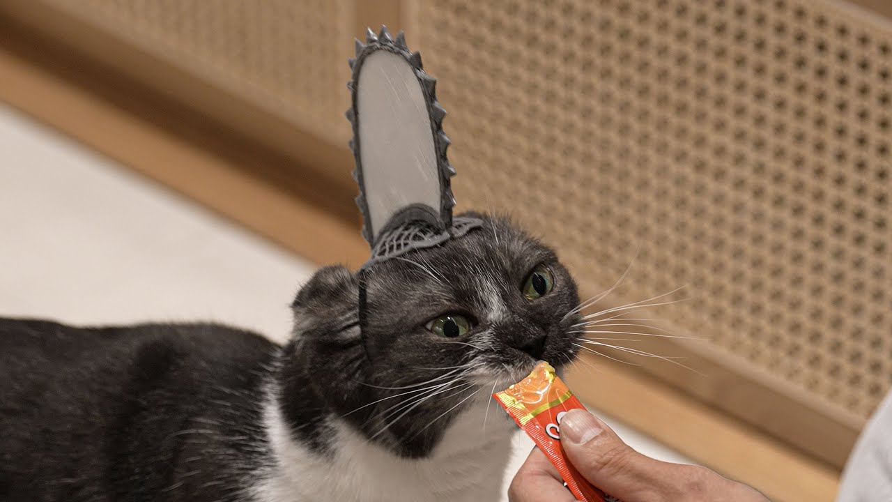3D펜으로 고양이 모자 만들기
