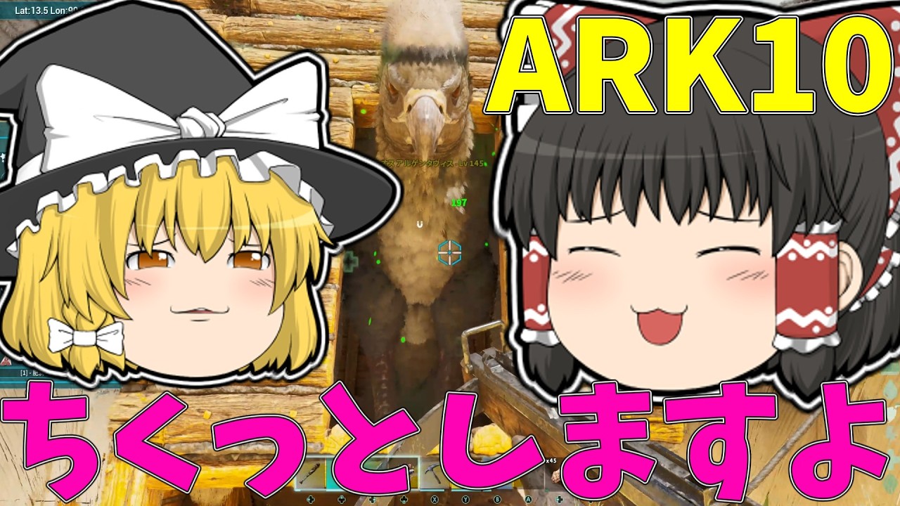 ARK10　より強い子をブリーディングする！