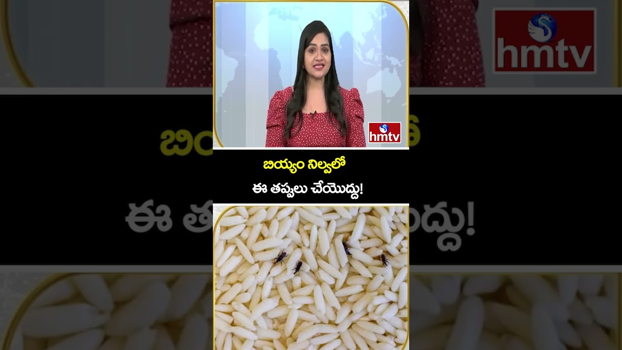 TO THE POINT : బియ్యం నిల్వలో ఈ తప్పులు చేయొద్దు! | hmtv