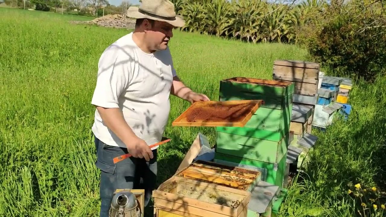 Traslochiamo il Nucleo!!!!