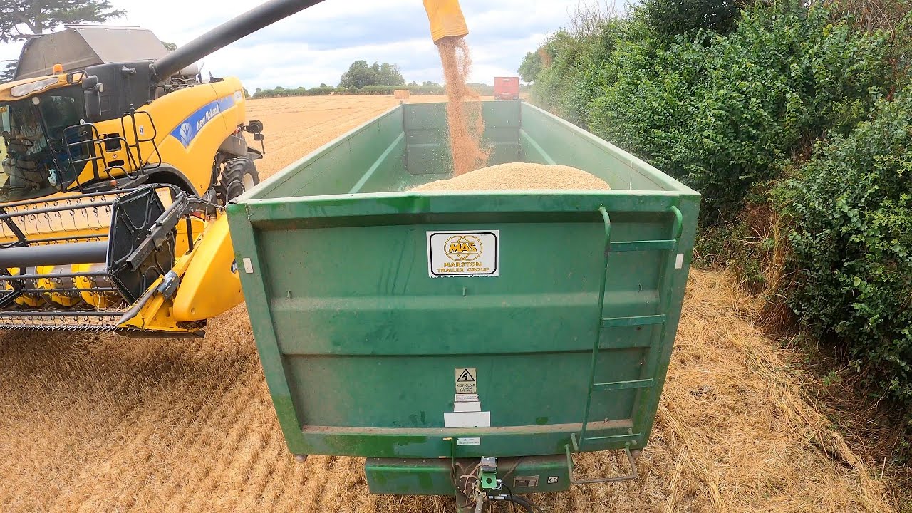 Corn Carting UK Wheat Harvest 2025 Part 1