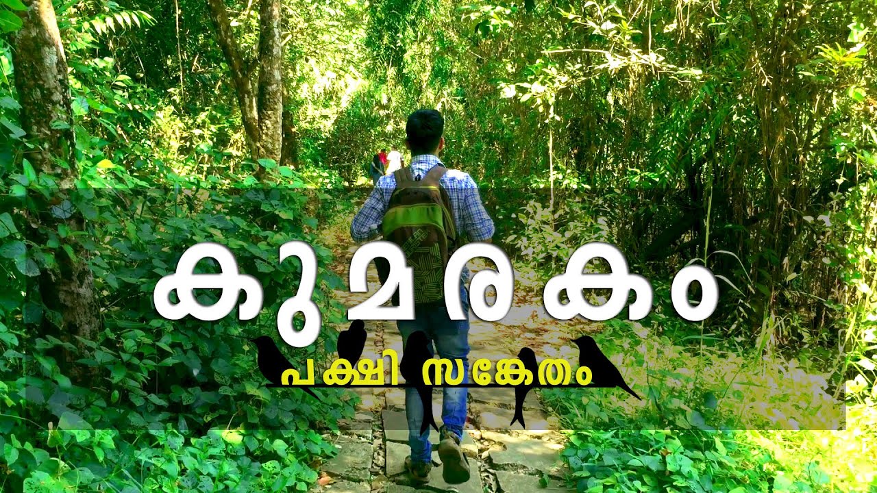 Kumarakom Birds Sanctuary | കുമരകം കായലോരത്തെ സംരക്ഷിത വനം | Forest Walk Near Backwaters Kerala