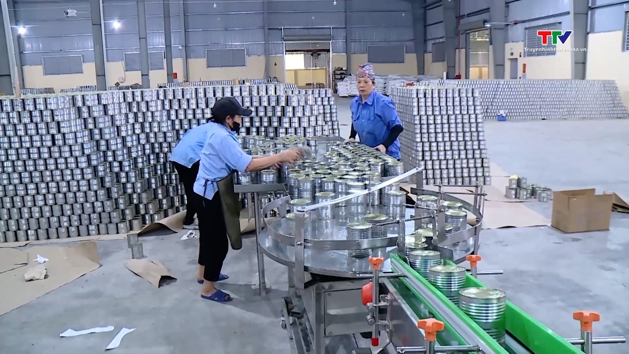 Doanh nghiệp ứng phó với biến động từ xung đột Trung Đông| NSTH