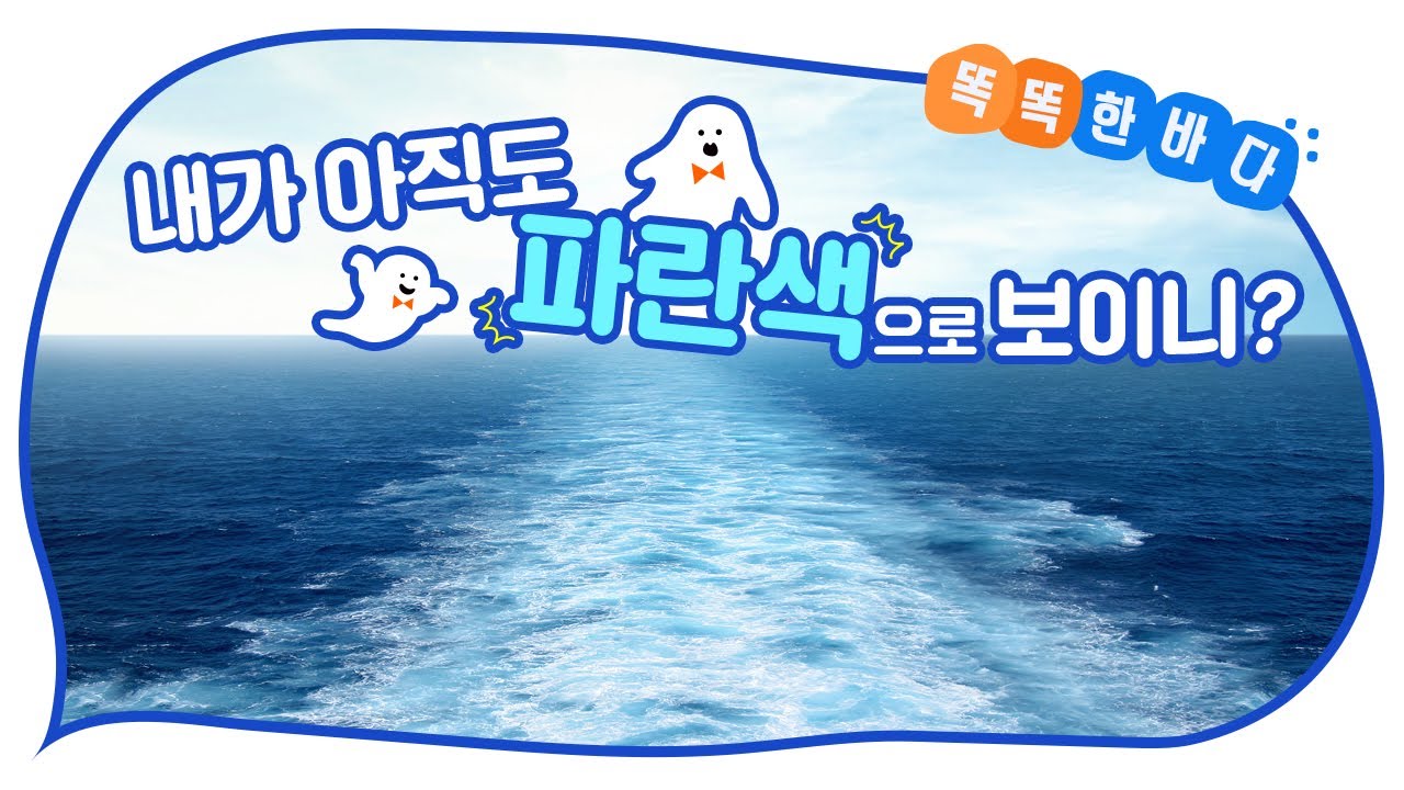 우리 눈은 속고 있다?! 바다가 파랗게 보이는 이유를 알려드립니다~[똑똑한 바다]