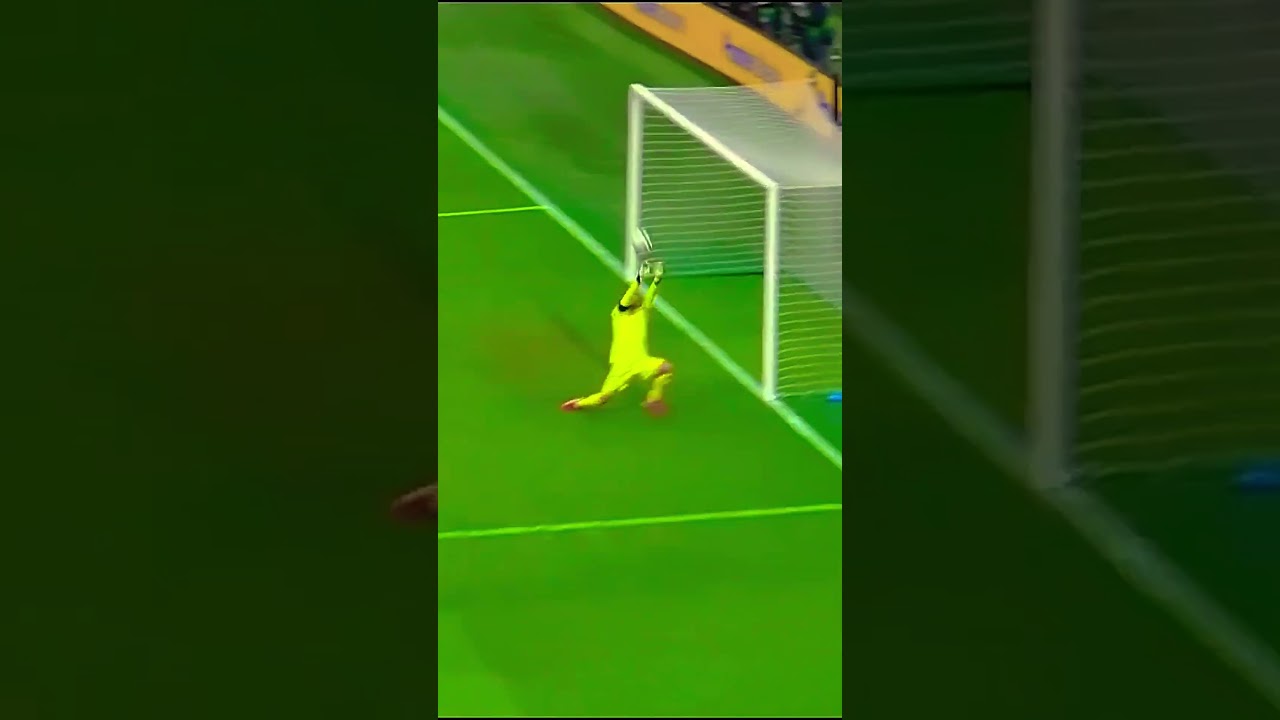 Oliver Baumann Vs Italy | Top Saves #shorts