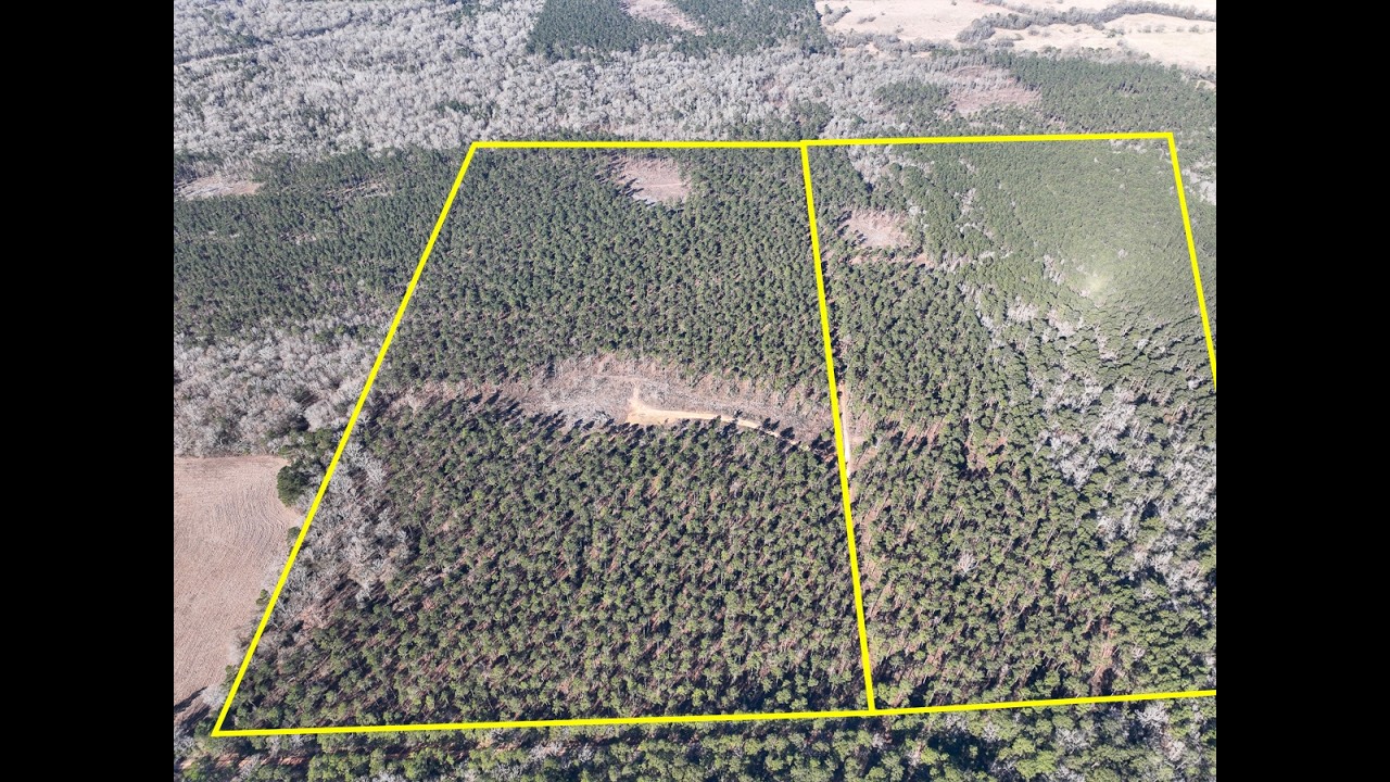 68 acres | Louisville Road | Trinity Co., Texas