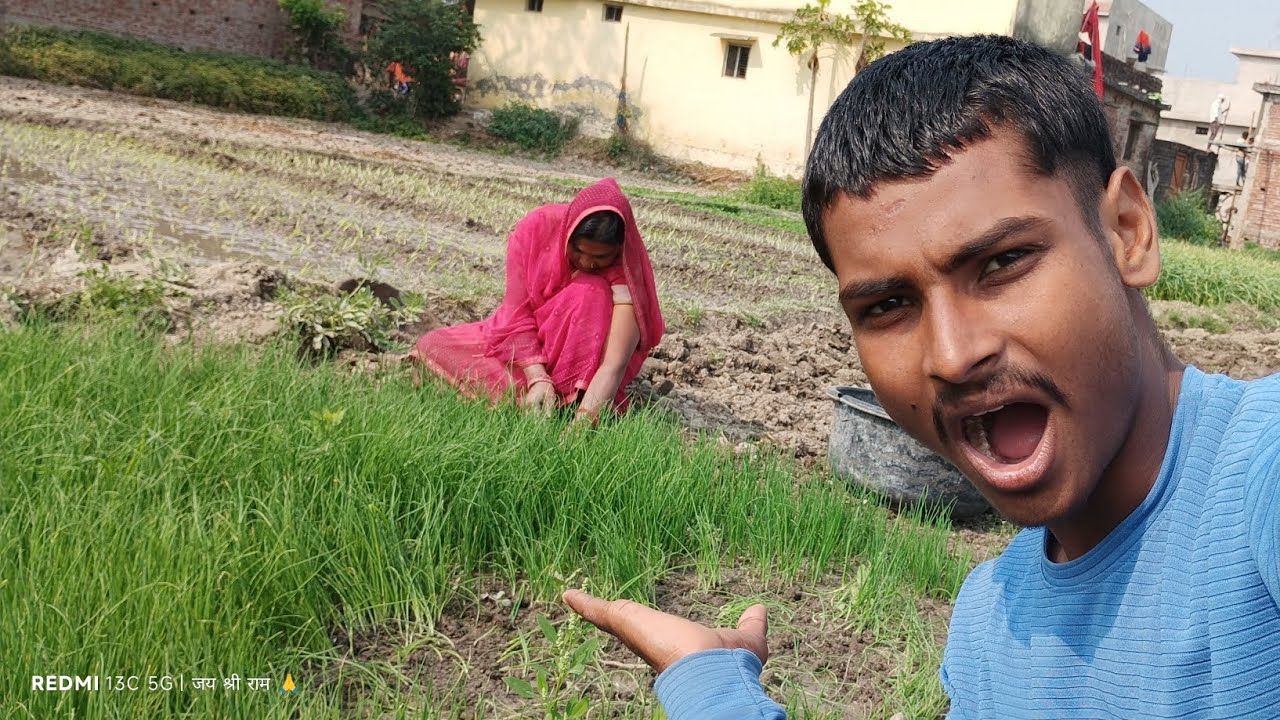 प्याज का बीज कैसे निकाला जाता हैं 😮