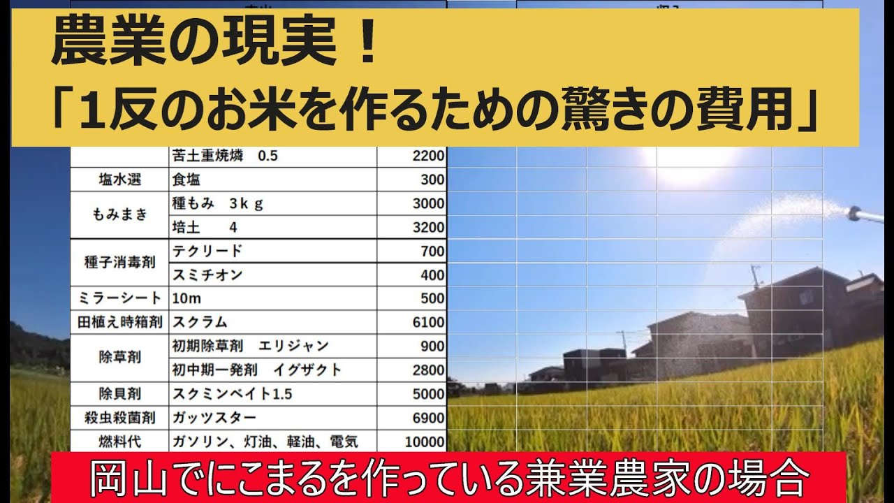 【田んぼ1反にかかる経費】1年間の収支をだして、適正価格について考えました。
