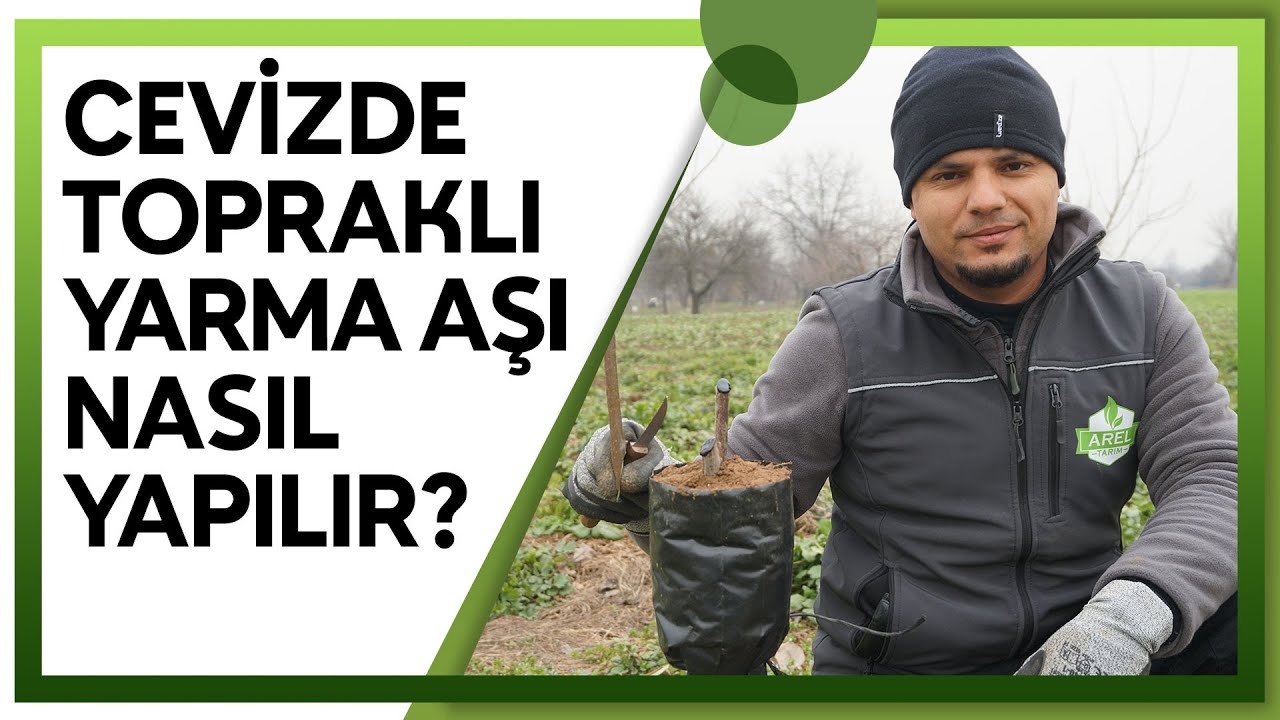 Topraklı Yarma Aşının Püf Noktaları Nelerdir?