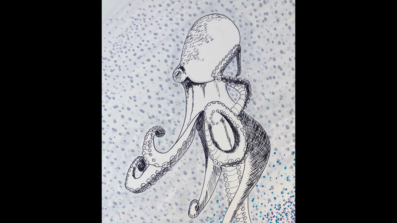Octopus in Pencil, Ink, and Markers Guided Lesson