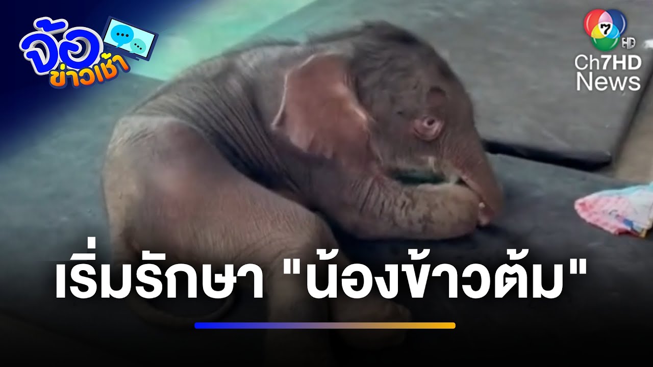 เริ่มแผนรักษา 