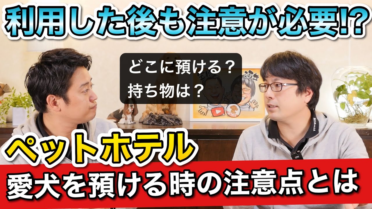 旅行や帰省で【ペットホテルに預ける時の注意点】をペットショップ店長が解説します！
