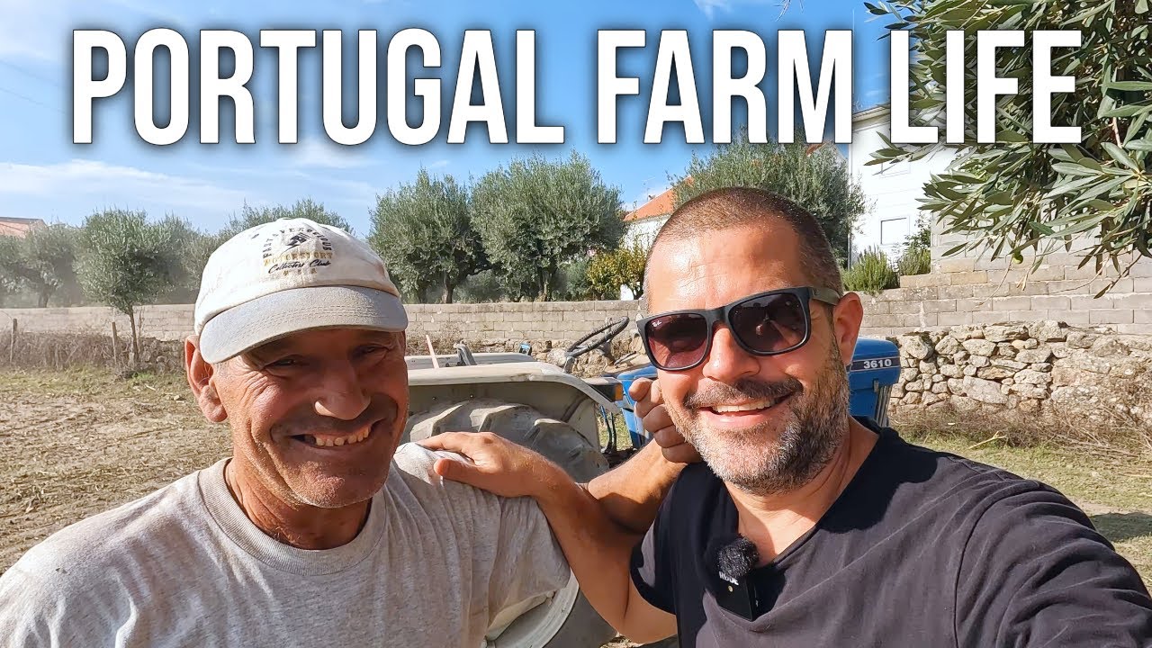 We've Waited Years For This!!! | PORTUGAL FARM LIFE