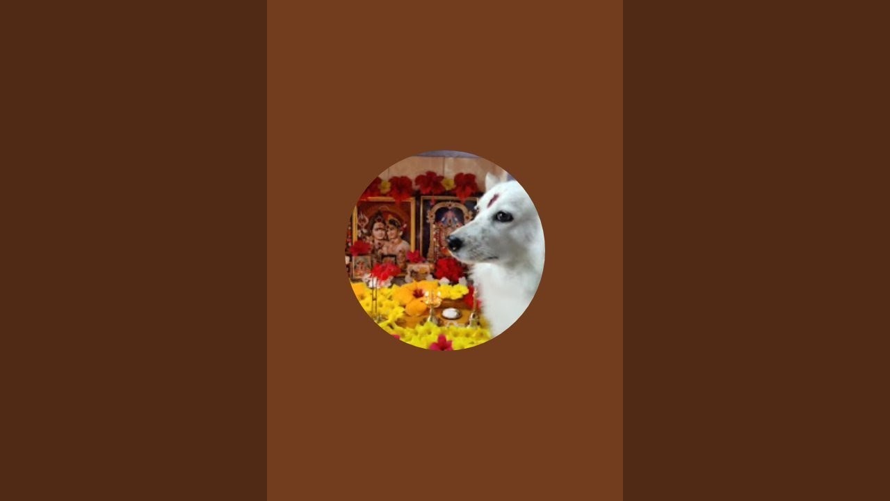 Nenu naa Lucky is live