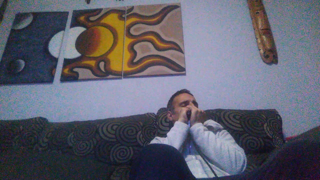 Blues en cuarentena con mis pajaros