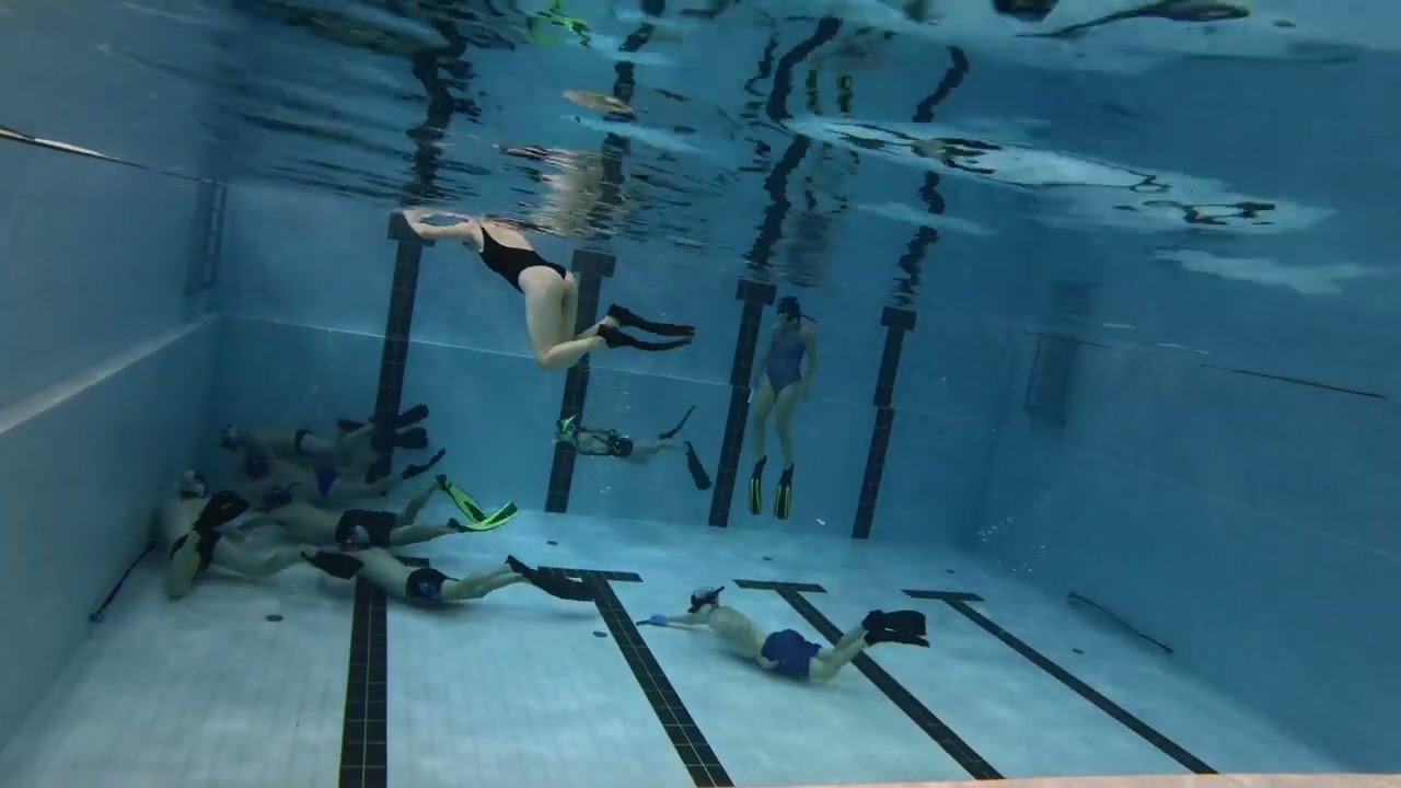 Underwater Royal Rumble (no commentary) 🏒🤿🫧