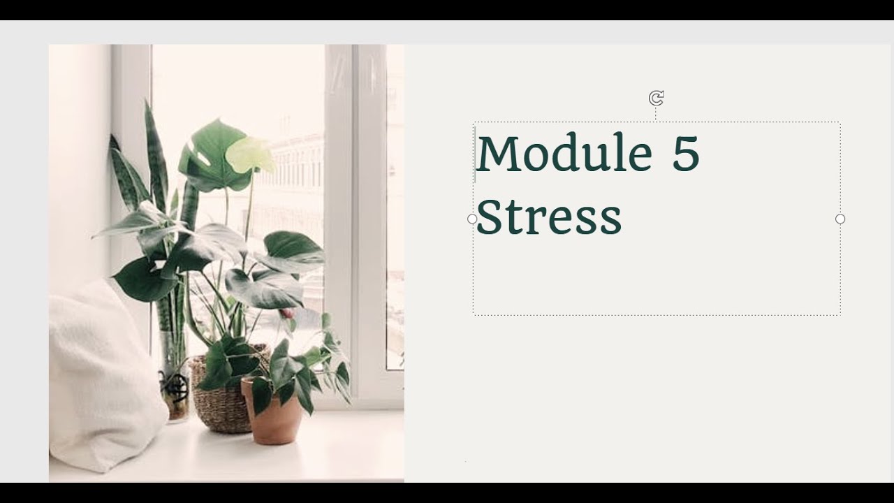 Psychotherapy Module 5  Stress