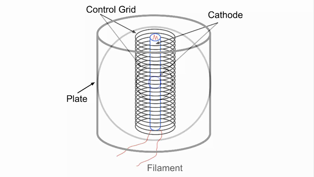 Control Grid, Triode Tube