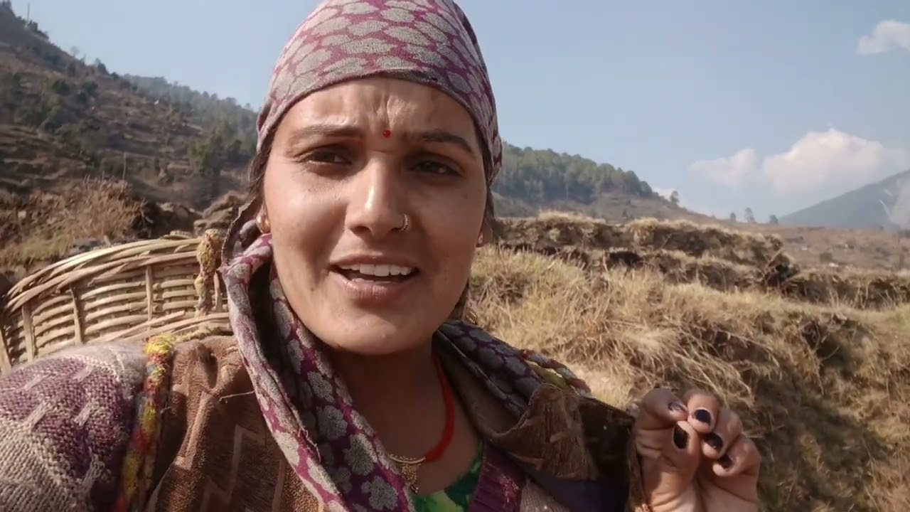 खेतो का काम भी शूरू#Asha pahadi vlogs#Pahadi life style#Rawain ghati#Uttarakhand#