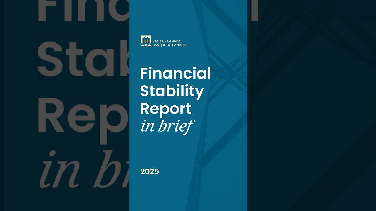 Financial Stability Report&mdash;2025