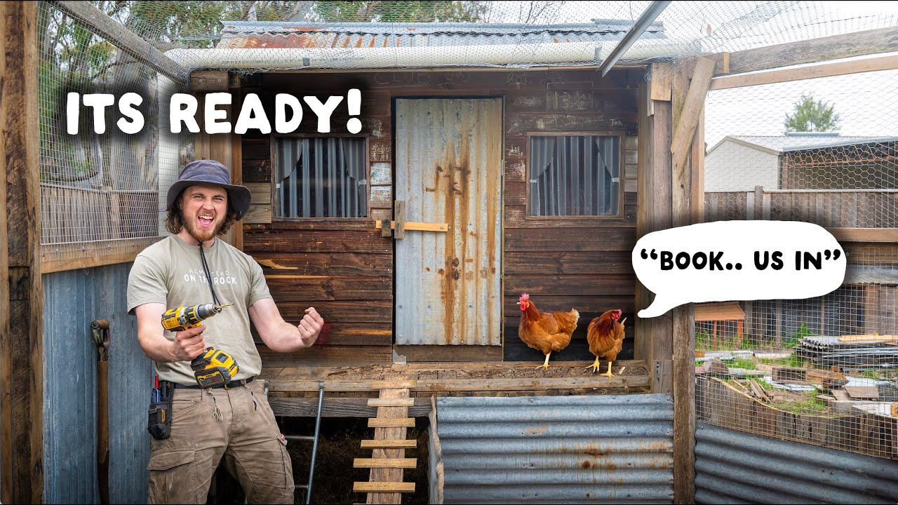 Cubby to Coop | Our Salvaged Build Journey is Complete! (READY FOR CHICKENS)