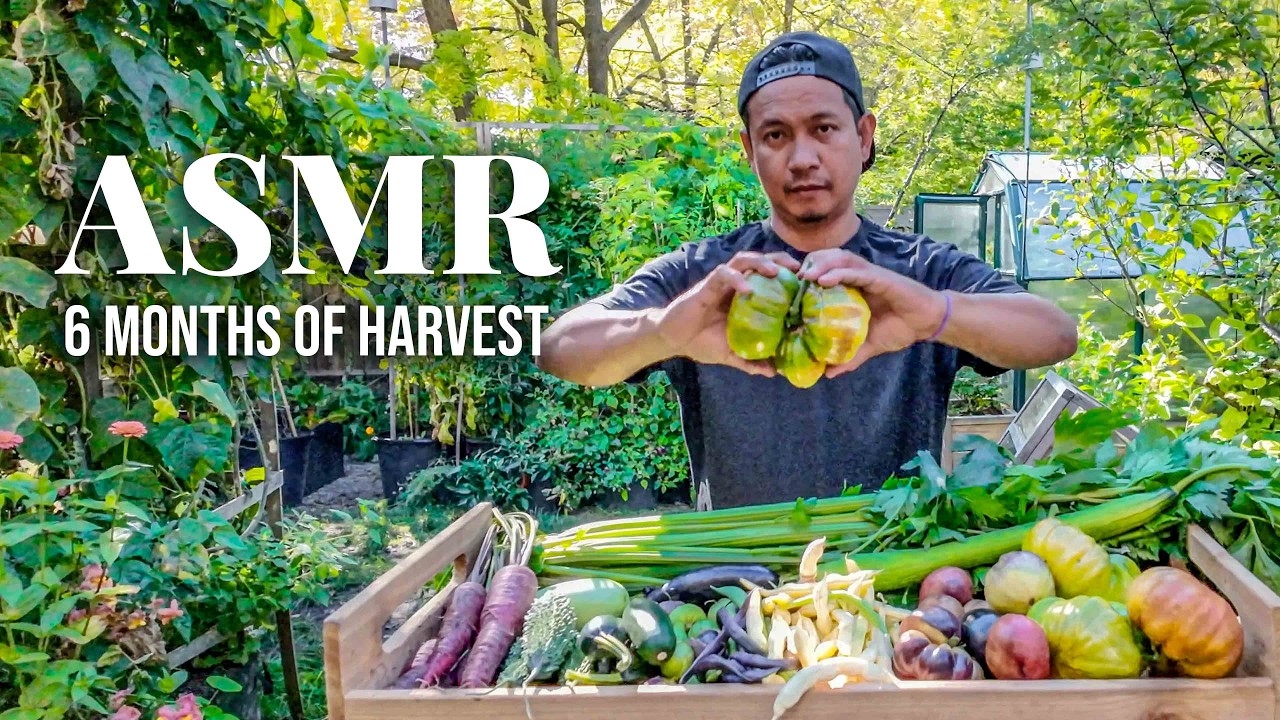 2 Hours of Garden Harvest ASMR 🍓🌿 Spring to Fall | No Talking | Sleep & Relaxation