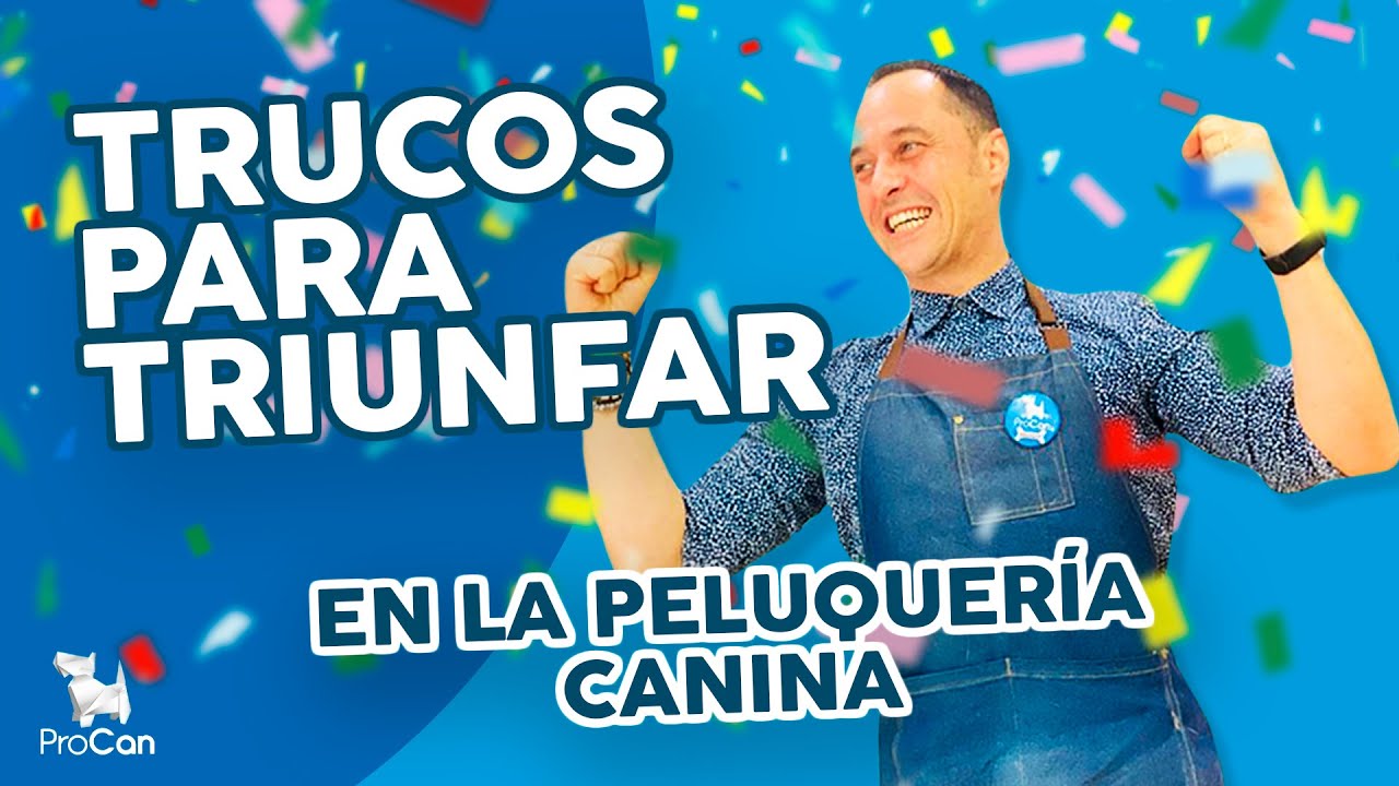 Sigue estos trucos y... 🏆 ¡CONSEGUIRÁS MUCHOS CLIENTES! | Cómo montar una PELUQUERÍA CANINA
