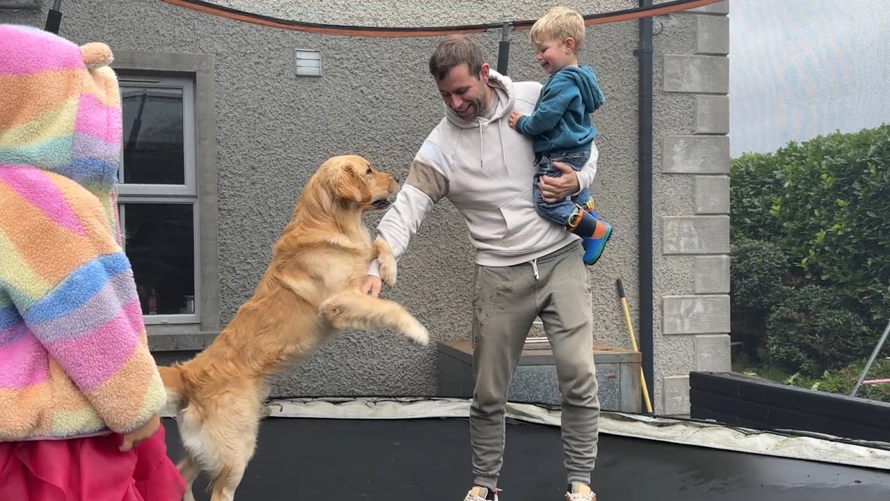 Golden Retriever Loves Trampoline! He Protects The Children! (So Cute!!)