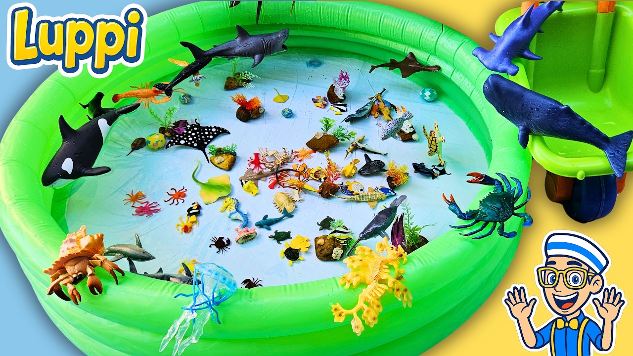 Nomes dos Animais Marinhos com Luppi 🦈