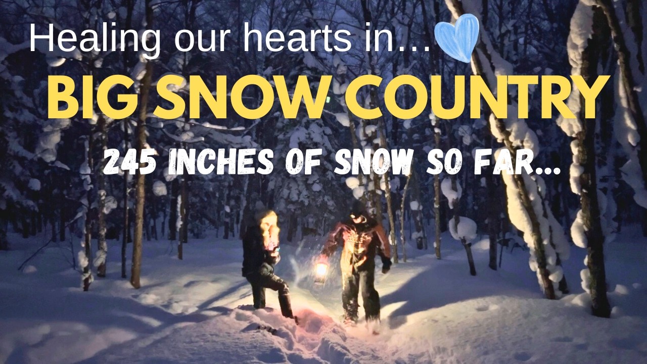 Peace in a Pristine WINTER Forest | Serene Magic of Winter's BLUE HOUR | Our KEWEENAW LIFE Update